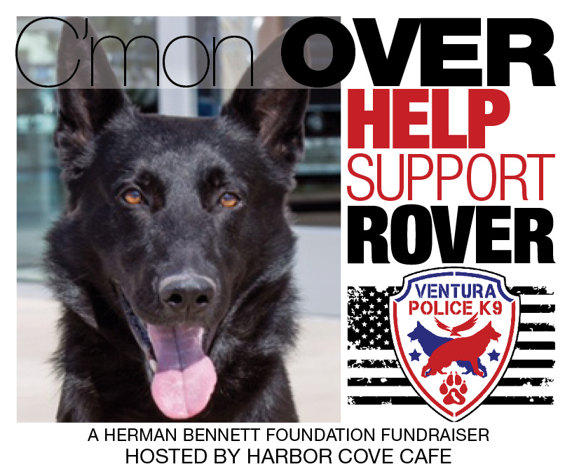 Rover Fundraiser