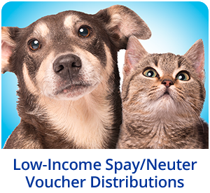 Low Income Spay/Neuter Voucher Distributions