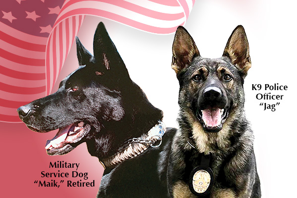 Military & K9 Police Service Dog Program Created to support both active and veteran service dogs. Designed to provide funding towards veterinary care of both military and police service dogs. Donate Now!
