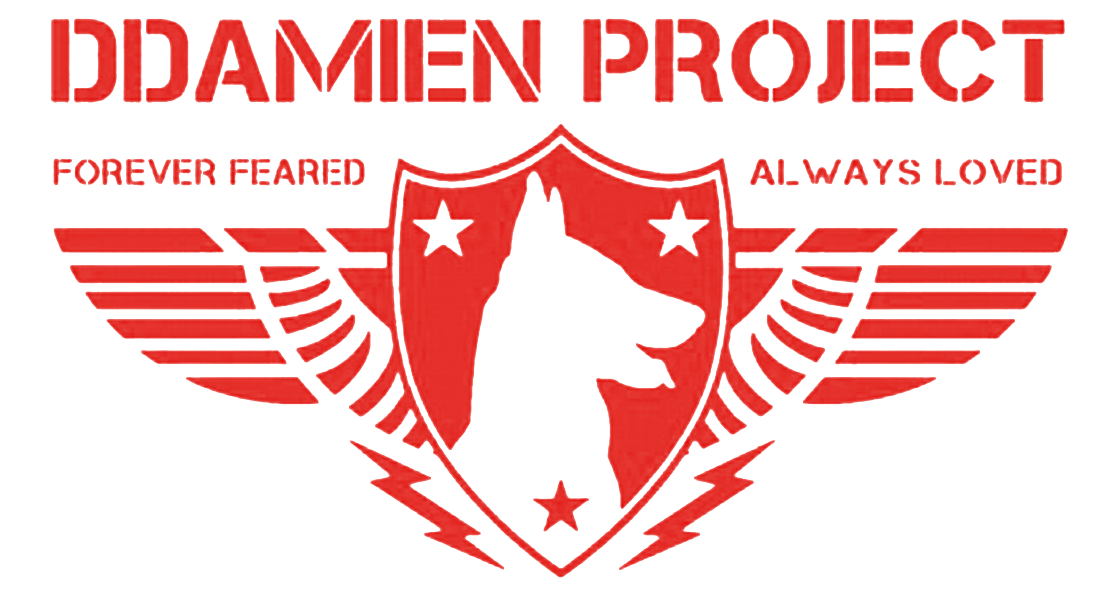 Ddamien Project Logo